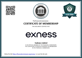 Complete Guide to Exness Terminal Download Set Up and Get Started Complete Guide to Exness Terminal Download Set Up and Get Started